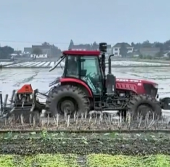您負責統(tǒng)籌全局，它負責腳踏實地